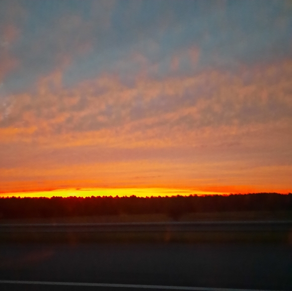 🦋OFFERS WELCOME 🌺 - Picture 2 of 3